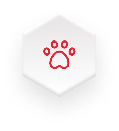 red dog paw icon on white hexagon for pet supplies market on fulfillment website